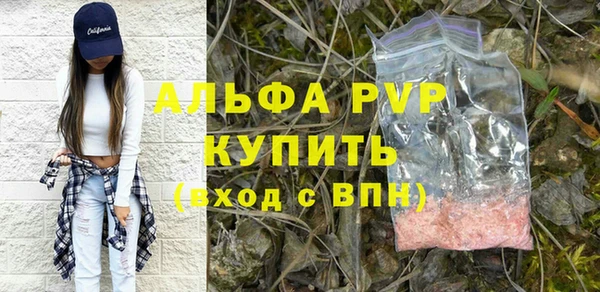 гашик Абаза